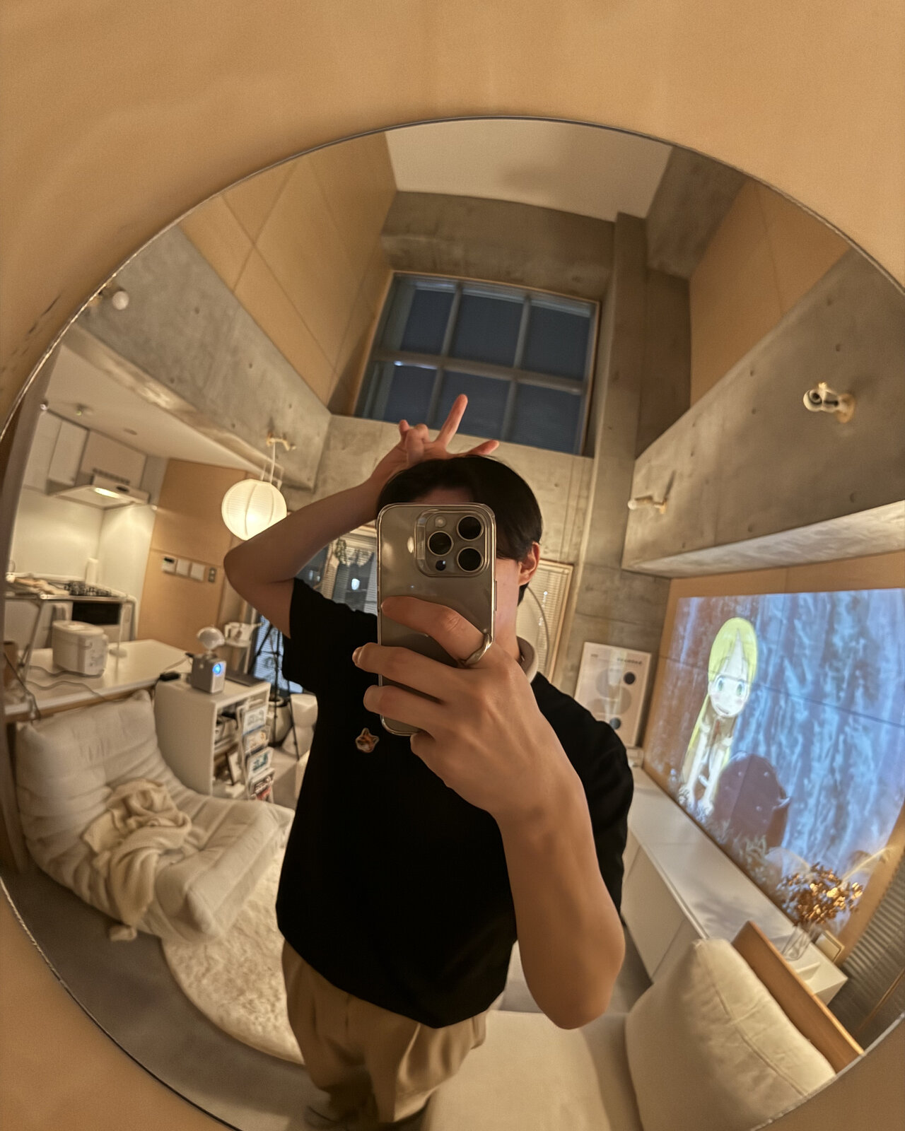 貼り付け型の凸ミラー
